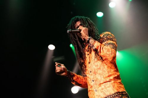 Click Here To Enlarge This Photo Of What&rsquo;s So Exciting About The Nottingham Reggae Festival